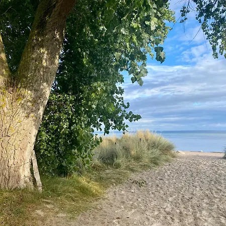 Südstrand Haus 7 *