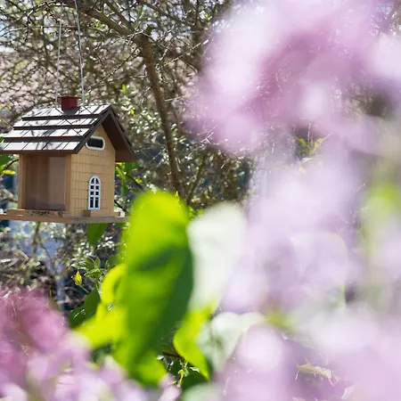 Suedstrand Haus 7